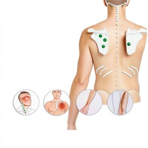 Medical Atlases for Kindle - Lotus Books-0