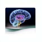Pacific Primary Care Software Atlas Kindle 20th Edition Brain Diseases-0