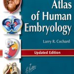 Saunders Embryology 1st Edition Kindle-0