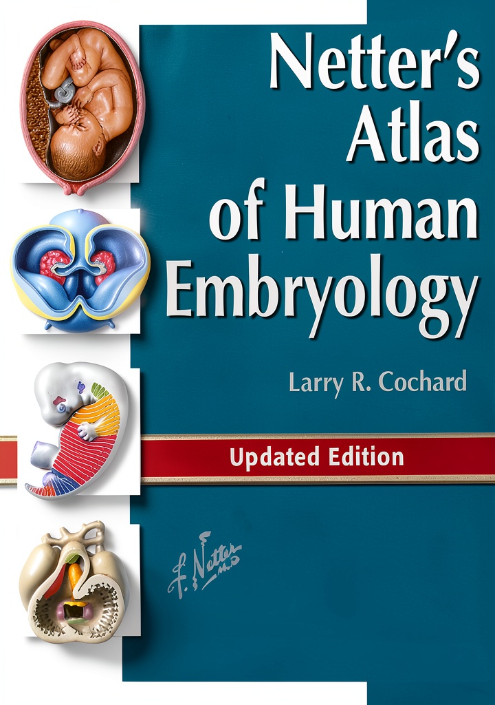 Kindle Edition
